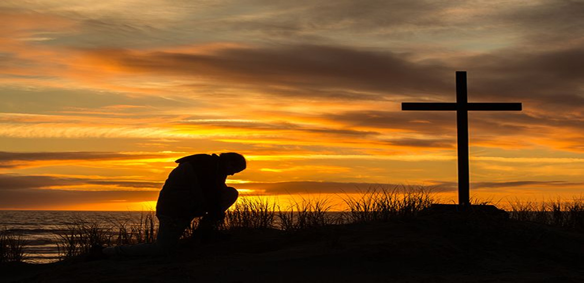 z - Devoted to Christ.jpg